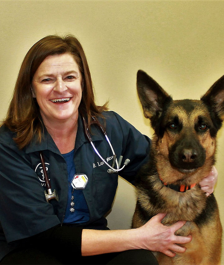 Experienced Veterinarians in Terre Haute | Cat & Dog Veterinarians